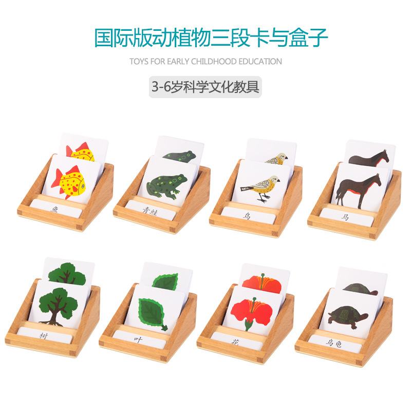蒙氏教具蒙台梭利幼儿认知三段式卡片盒蒙台梭利早教益智玩具