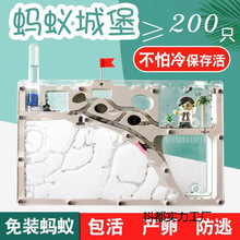 Λρ��������Λρ�Ǳ��҈@�����B�^��W��������˹��BֳΛρ�Ԍm