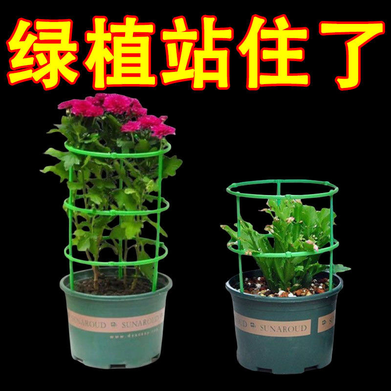 花架子室内家用花架支撑杆爬藤花架蟹爪兰支架花藤架子拼接花支架