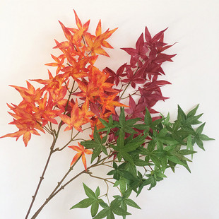 ������~ �ָ��z֦�Ɇ�֧�t���~�@�ֹ����b��~�ӷ���Gֲ�G���~