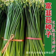 ļ̦·NӾ²̦N̦ͺ͟Όļ߲˷N