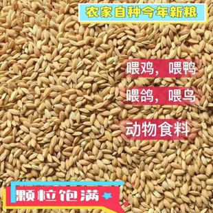 10ι�u��ˮ���A������������ϵ��ȱ���0�|���u��ϵ���