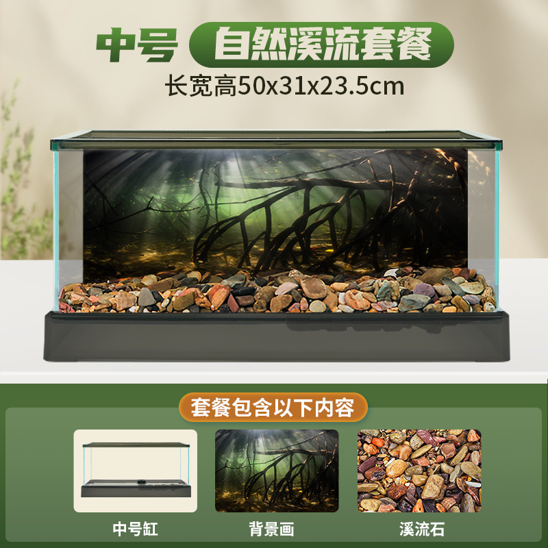 중형 남미 탱크 [하천 바닥 모래 패키지] + 선물 팩