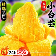 海南大甜整箱芒果斤水果当季现农10热带包邮芒果新鲜小台小台芒摘