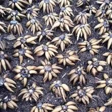 ��ëݢ�N���҃������ļ���ĵ�������^����ֲ�N�����Ժ��B���