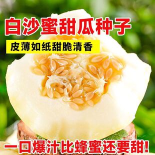 �Нh��ϷN�Ѱ�ɳ����ϷN�Ӵ���ó��ļ����N�����׻�߮a�����