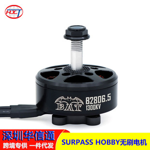SURPASS HOBBY B2806.5  2807  2808 2810  3115�o�˙C�R�_