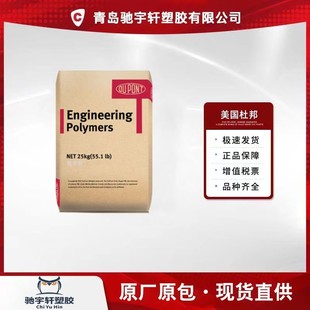 DuPont Zytel PA 612 158L NC010 lubricant release grade transparent grade high temperature resistance