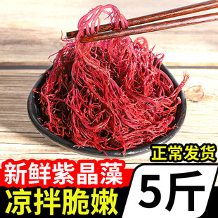 ��ɫ��횲����r�}�nɫ�t�P�˺���ʳ�ě������횲�