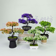 羳ӭ辰ɘGֲ҃ٻ[ֲb