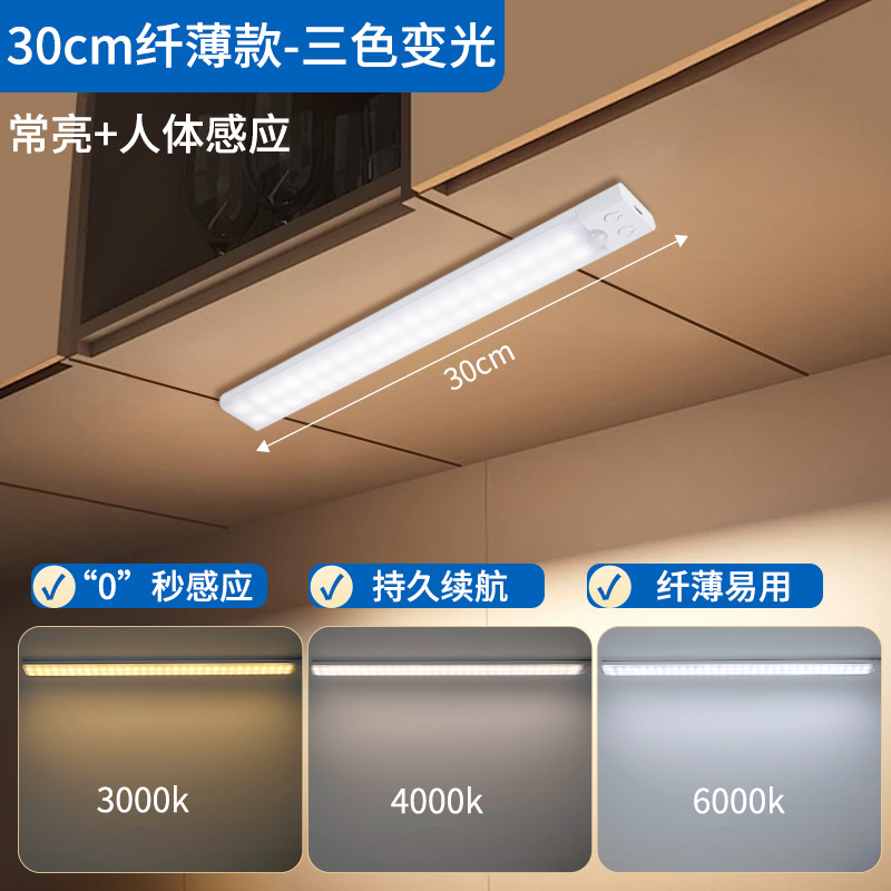 30CM slim model (three-color dimming)