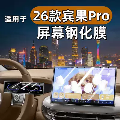 Bingo Pro Center Console Screen | Car interior film