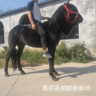 �����R�ж�ߏ�����������ϵ؅^���B���^�T���R�Ć�