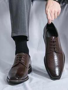 Y 53761 Men's Crocodile Print Leather Shoes �{�yƤЬ