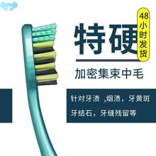 K系∝日常硬毛牙刷手动中硬毛烟渍牙渍牙黄清洁牙齿情侣中毛特硬