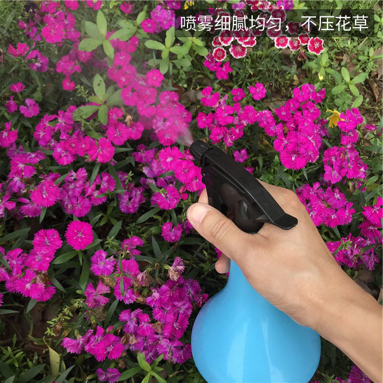 O1CN016dAifV1NZW2a38aqm_!!2211