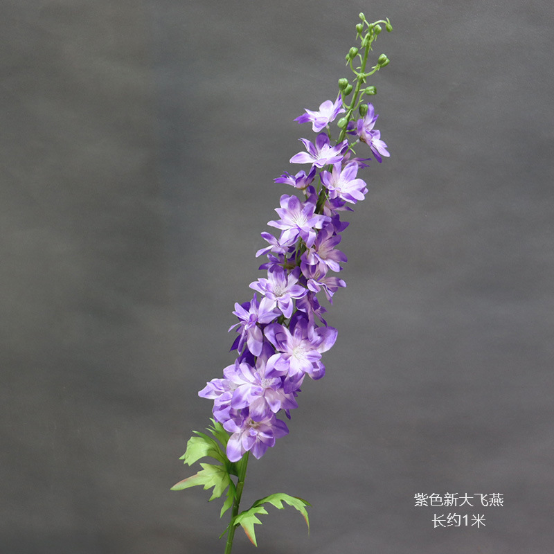 보라색 새 대형 비행 제비의 가지