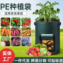 PE�����Nֲ���R����߲�ֲ����������L��������NֲͰ��ֲ���F؛