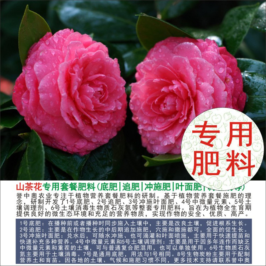 50�����а�ɽ�軨ר���л��ʸ��Ϸʵ׷�׷��Ҷ��ʳ�ʩ��ˮ�ܷ�