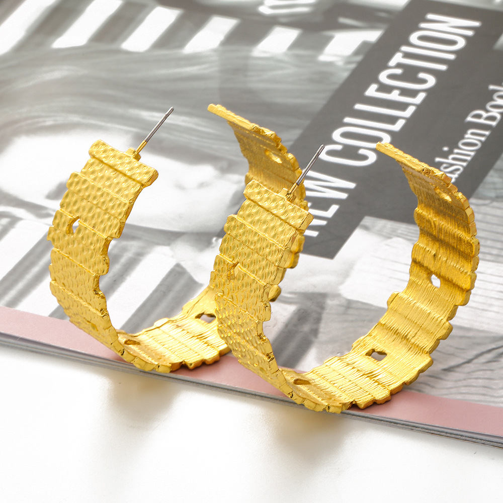 Fashion Geometric C-shaped Alloy Earrings display picture 7