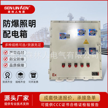 防爆照明配电箱防爆配电箱柜接线照明动力PLC控制箱防爆变频器