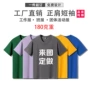 活动夏季圆领印字文化衫