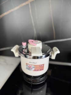 ��BH553�����u�� 6L ��ò���P䓸߉�� ����� �������