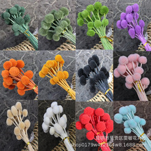 【黄金球】永生花黄金球干花 创意装饰干花束黄金球插花干花