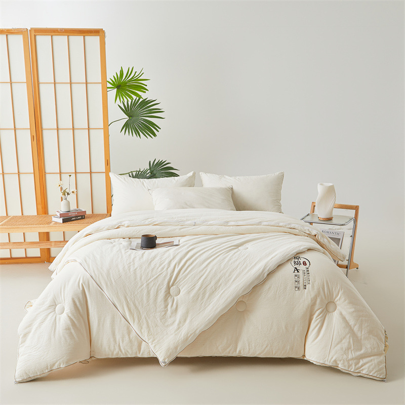 Class A Comforter Soybean Fiber Quilt Spring Autumn 2-in-1 Mother-Child Duvet Student Dormitory Single Person Thickened Winter Quilt Core
