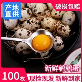 鸡蛋;鸡肉类;咸蛋类