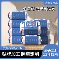 湿厕纸家用可冲超划算湿巾纸擦屁屁加厚加大80抽清洁护理湿厕纸