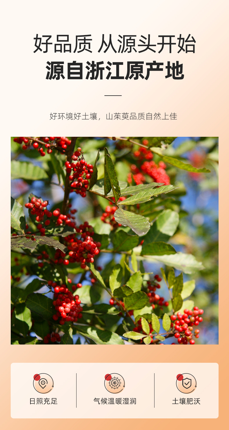 Dried Seedless Cornus Fruit Shan Zhu Yu 100g Jar for Herbal Tea key features