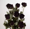 Black magic pack of 10 pieces