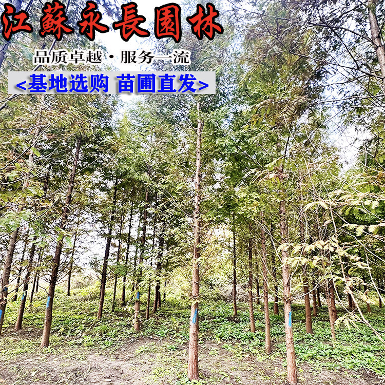 微信图片_202501120553