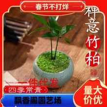 һ�����l������ԶU��Gֲ΢���辰�쾰�[���҃������k�������ֲ