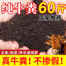 ţ�S�l���ЙC�ʷN����60���̨�B���Gֲ����ͨ�ø�����S����
