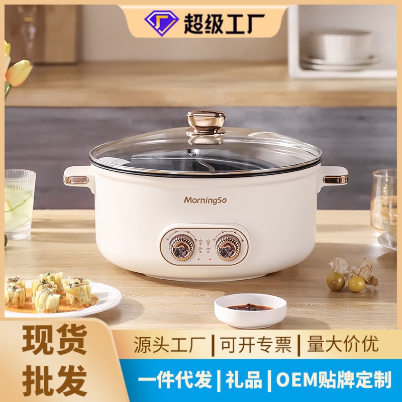 Dual Temperature Control Electric Hot Pot, Multifunctional Household Electric Hot Pot, Large Capacity All-In-One Dormitory Electric Cooking Pot Without Odor