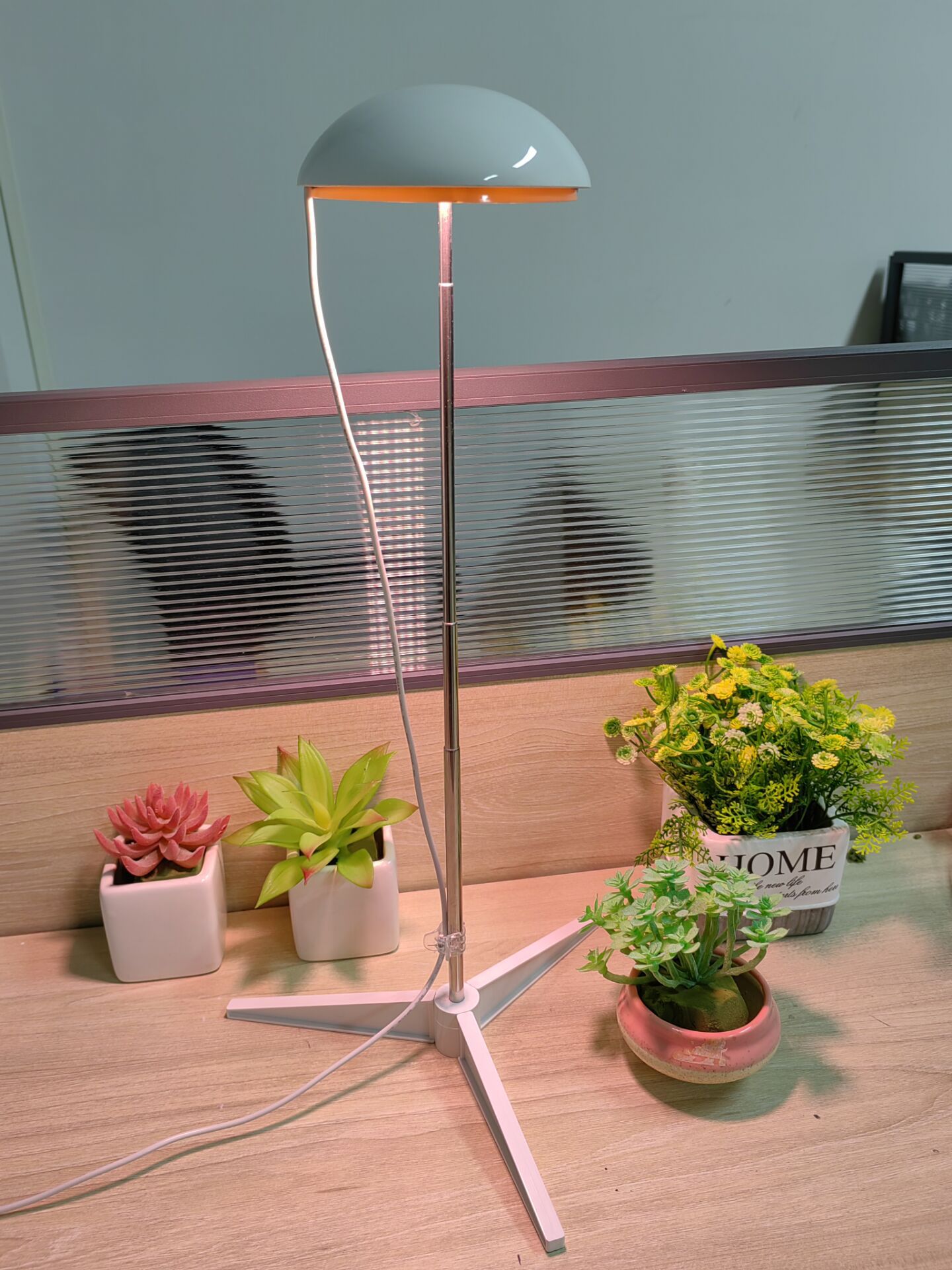 88EFFC26B2C5772C6DE6D37EDF87FA