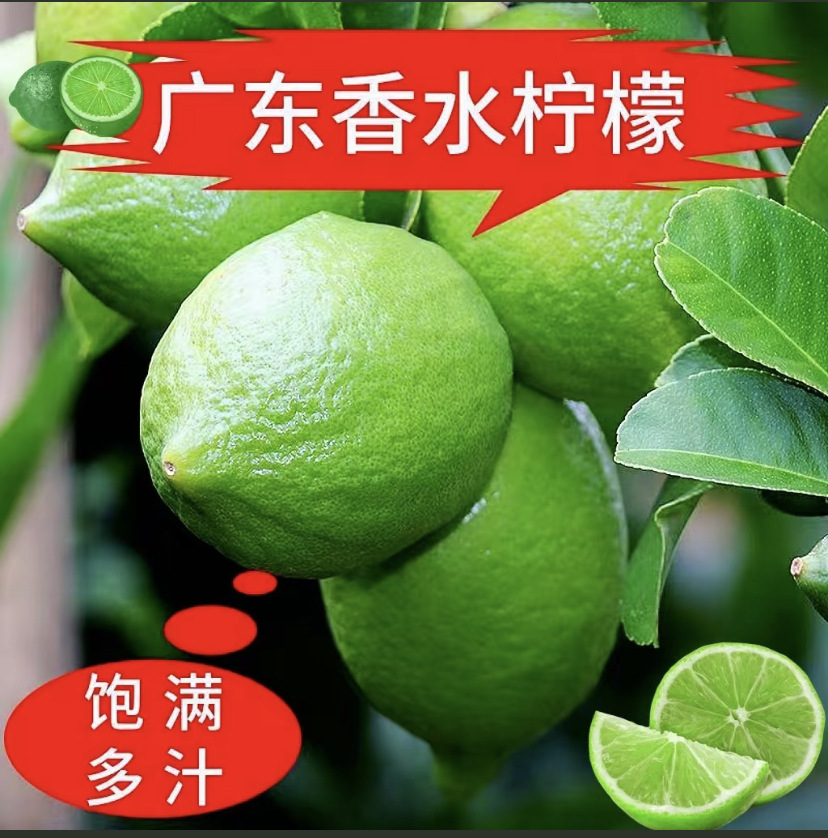 85c34dcace3396a3751366c492daac