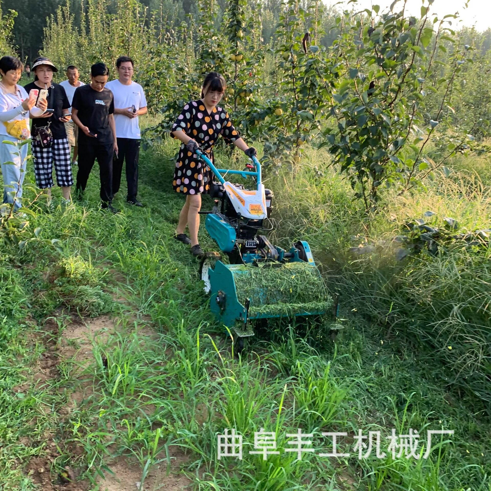 小型家用果园碎草机 可选配动力果园割草机 手扶式柴油打草机