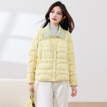 pqŮ̿2025¿СӸ߶ⷭIqů