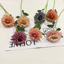 �����֧������ ��c���Ļ�Y�b��仨�h���ldiy����ɭϵ���滨