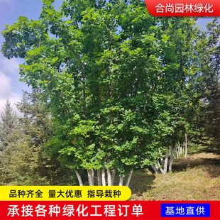 �ɹř������ɹř������|�|���ͺ����~��ľ�＾�~�tɫ�ɹř����͘�