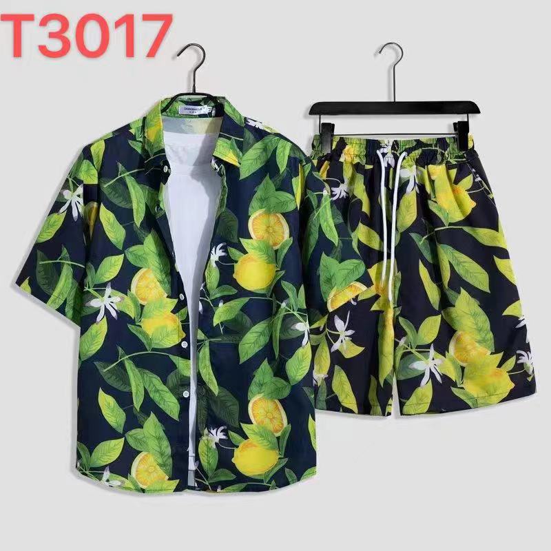 사우스 T3017