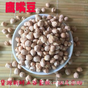 ���춹���l�����춹�u�Ķ������Ӷ�ּZ���춹���춹