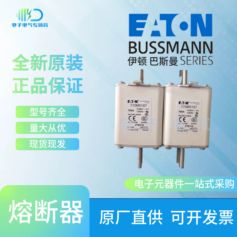 170M5192 170M5193 170M5194 巴斯曼 Bussmann快速熔断器保险丝