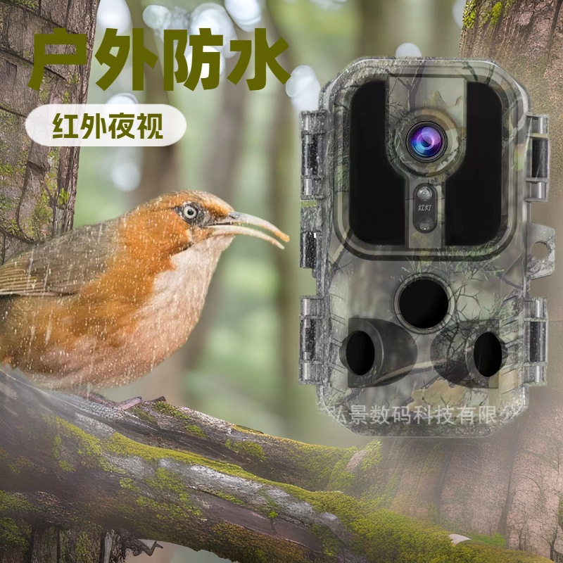 Outdoor HD Waterproof IP66 Infrared Induction Hunting Camera Field Surveillance Camera Tracking Animal Camera