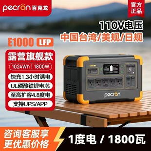 ��ꖰٿ��������ԴE500/E1000LFP/E1500/������220V/110V/1000W
