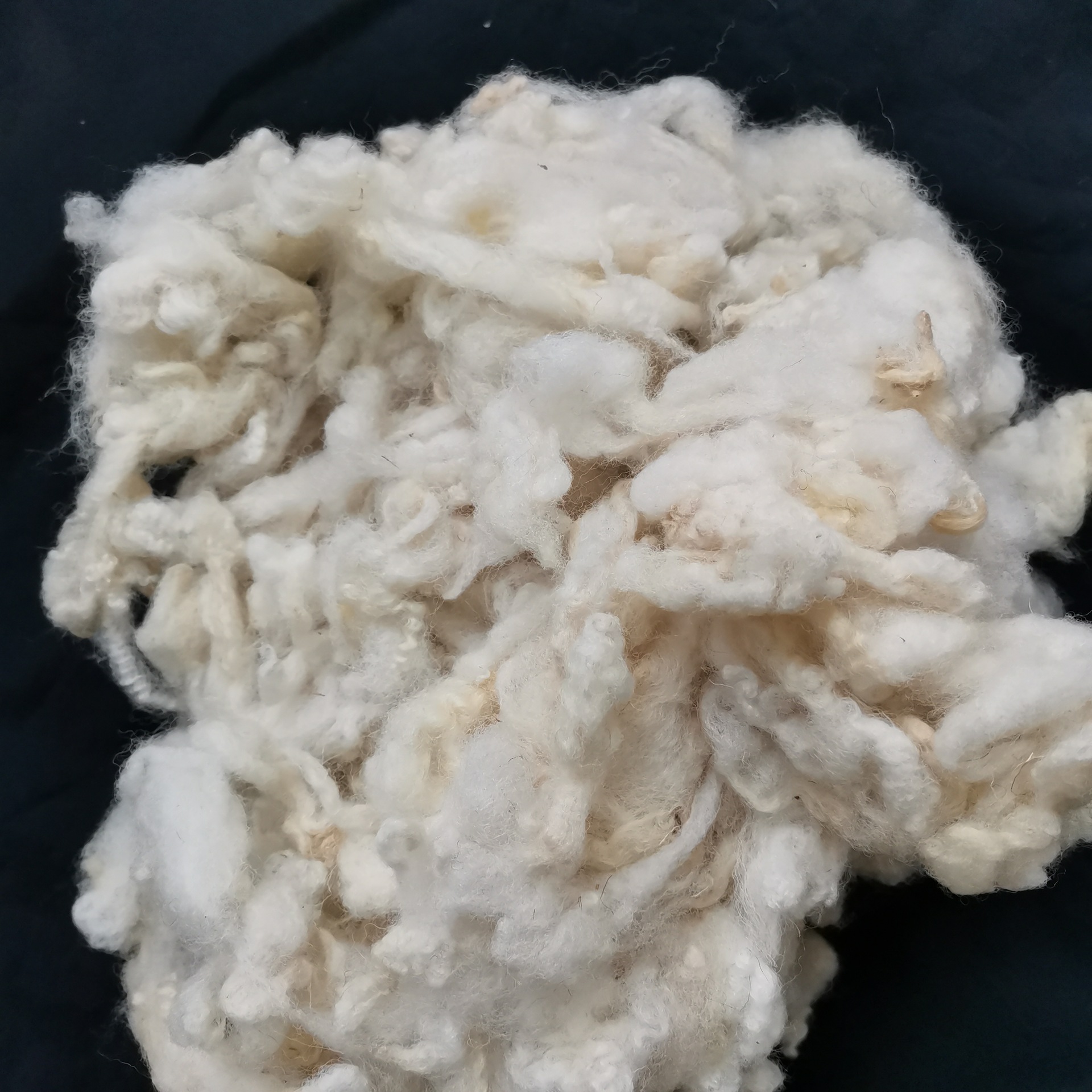 d6fa3ac342eff80ca8b0dfd095cbf4