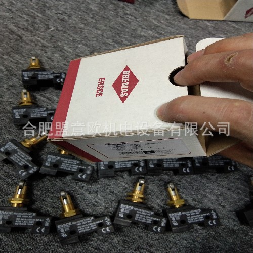 意大利ERSCE按钮开关